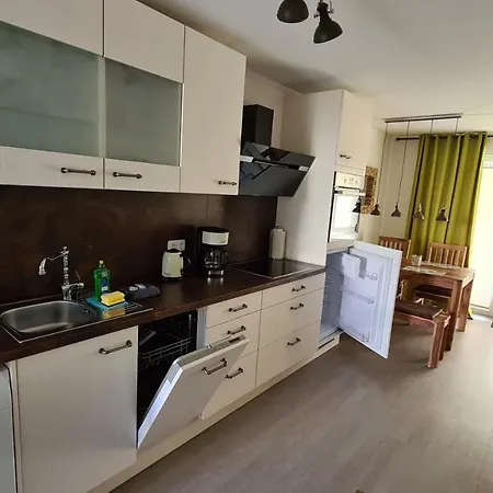 Lieblingsplatz Im Kuestenwald Graal-mueritz