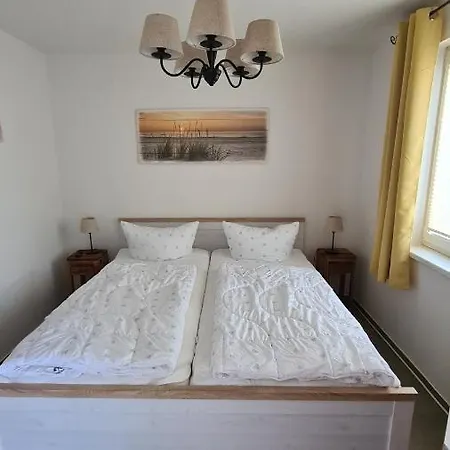 Lieblingsplatz Im Kuestenwald Graal-mueritz