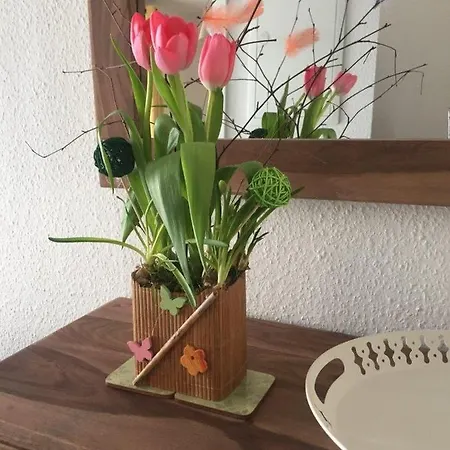 Lieblingsplatz Im Kuestenwald Graal-mueritz *