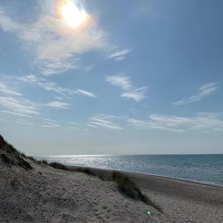 Lieblingsplatz Im Kuestenwald Graal-mueritz Gelbensande