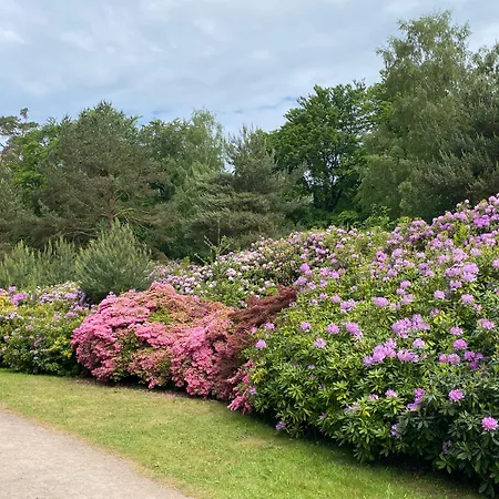 Lieblingsplatz Im Kuestenwald Graal-mueritz شقة